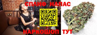 каннабис Кимры