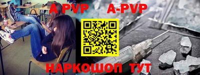 a pvp Кингисепп