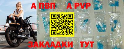 a pvp Кингисепп